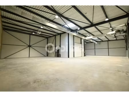 local d'activite a louer