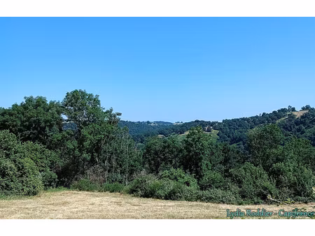 terrain à vendre sauviat 4580m2 29 000€