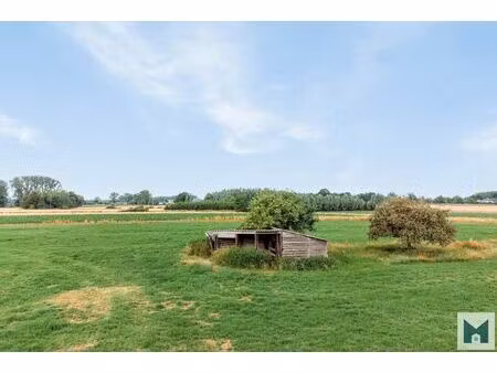 prachtig weiland van maar liefst 1 864 hectare!