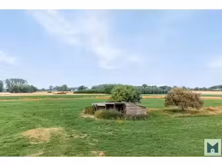 welkom bij immo middelpunt