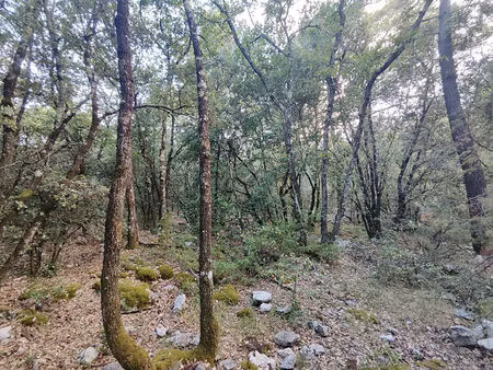 terrain chateaudouble 2430 m2