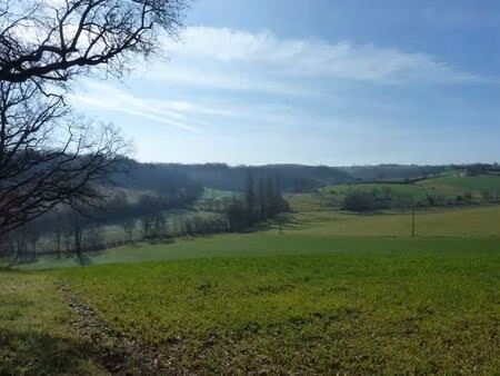 grand et beau terrain de 5000m² entre boulogne et l'isle en dodon