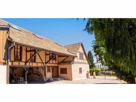 maison avec jardin et terrasse rantzwiller (68)