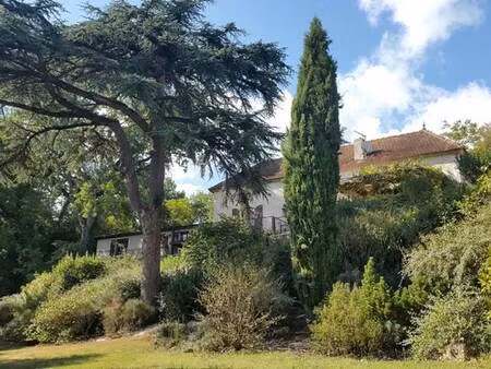 vente maison 12 pièces 342 m² cours (47360)