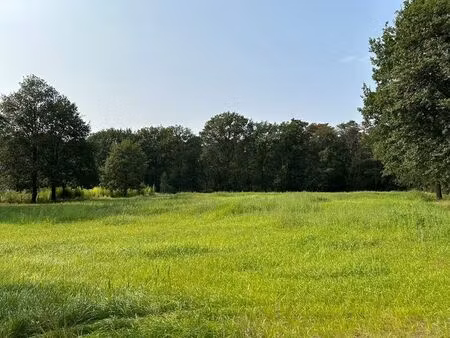 terrain à vendre à schilde € 123.000 (lalaf) - immo de laet - kantoor zoersel | zimmo