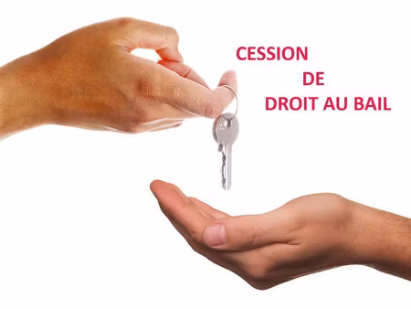 vente commerce 66 m² obernai (67210)