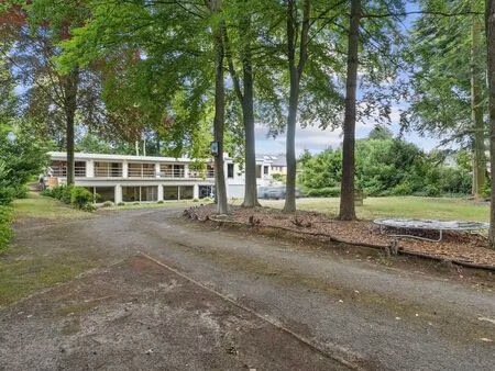 maison à vendre à beverlo € 599.000 (lamei) - horse immo | zimmo