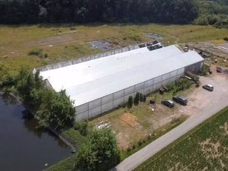 bien professionnel à vendre à frasnes-lez-buissenal € 400.000 (lan8k) - loix & delwart | z