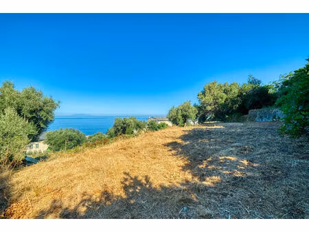 vente terrain constructible vue mer brando - mausoleo