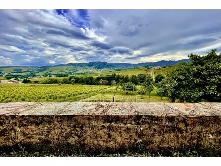 vente propriété viticole