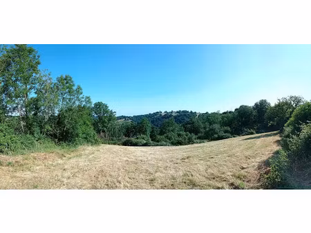 vente terrain 4580 m² à sauviat (63120)  29 000 €