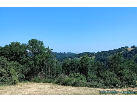 vente terrain 4580 m² à sauviat (63120)  33 000 €