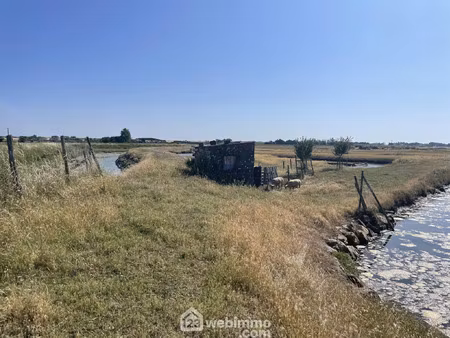 vente terrain à jard-sur-mer (85520) : à vendre / 17000m² jard-sur-mer