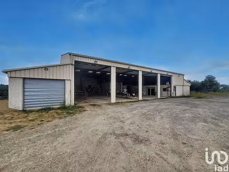 vente locaux professionnels 690 m² à rieumes (31370)  399 000 €