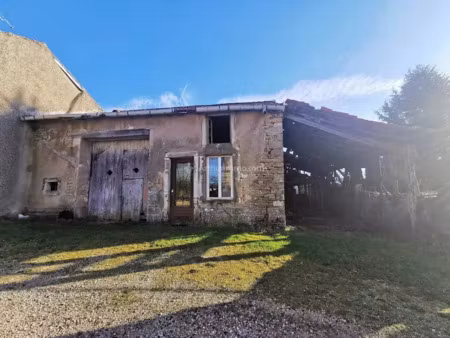 vente locaux professionnels 100 m² à soulaucourt-sur-mouzon (52150)  14 000 €