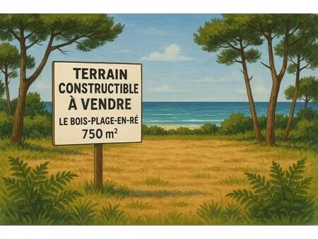 vente terrain