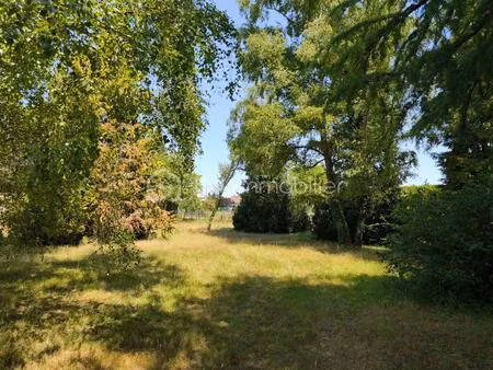 terrain commercial de 4 330 m² à saint-gondon