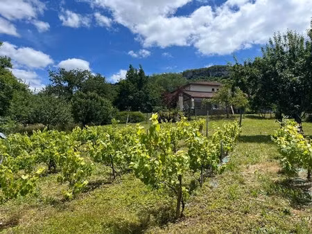 maison spacieuse avec vue ( mas-d'azil) et son appartement t2 en plus