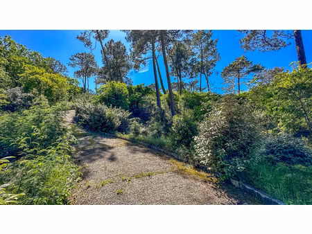 terrain constructible