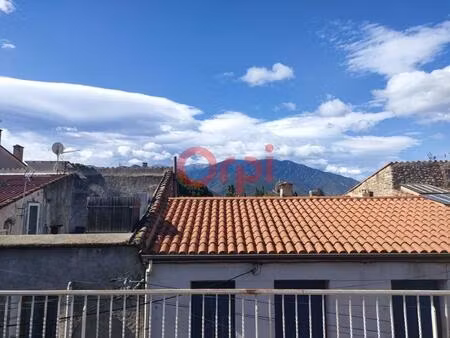 ideal investisseur maison de 2 appartements avec terrasses vue canigou à vinça