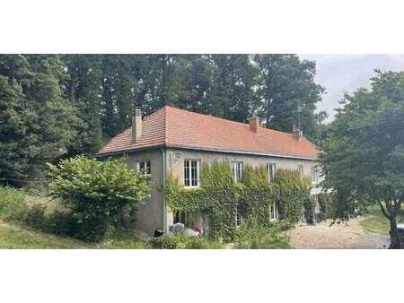 propriété avec jardin vallières-les-grandes (41)