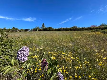 vente terrain 1529 m² lasséran (32550)