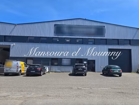 local professionnel à vendre joue les tours 6 pièce(s) 700m2 599 000€