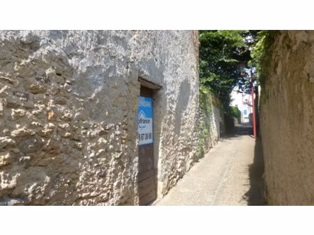 local professionnel à vendre saint loup lamaire 1 pièce(s) 130m2 4 000€