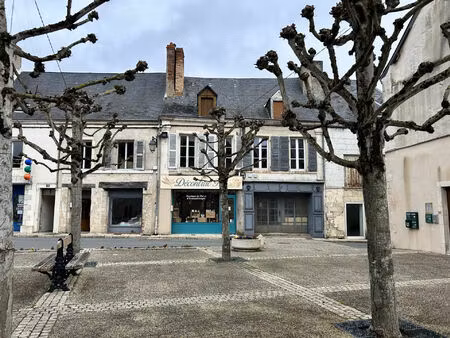 vente immeuble 83 m² saint-gaultier (36800)