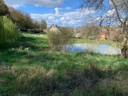 vente terrain 10945 m² argenton-sur-creuse (36200)