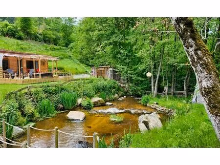 auvergne moulin gites chambres dâhãtes riviere 1.5 ha