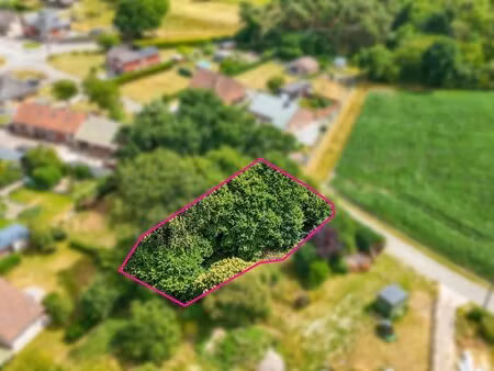 terrain à vendre à hechtel € 149.000 (lamps) - immofusion heusden-zolder | zimmo