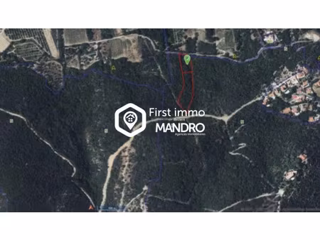 vente terrain 6835 m² à corbere (66130)  4 000 €