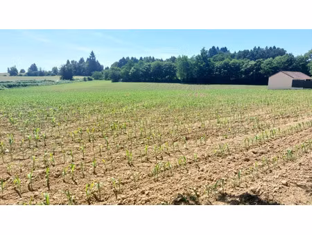 vente terrain 1533 m² à glandon (87500)  29 000 €