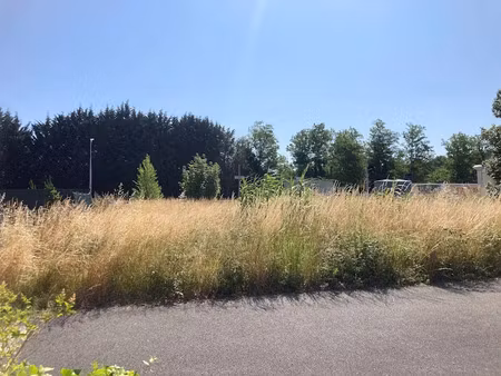 vente terrain 716 m² à montendre (17130)  26 000 €