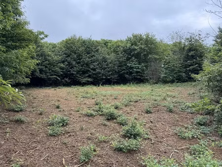 vente terrain 2553 m² à la chapelle-aubareil (24290)  44 848 €