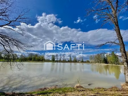 vente terrain 29430 m² à suarce (90100)  116 500 €