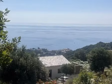 vente terrain 1168 m² à mausoleo (20259)  347 000 €