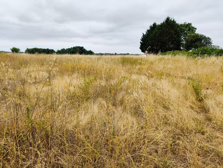 terrain à vendre 4000m2 dont 1000m2 constructible saint hilaire du bois (17)