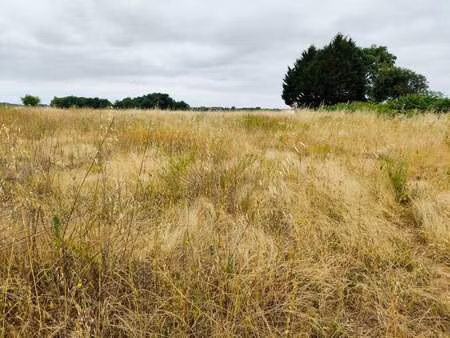 vente terrain à saint-hilaire-du-bois (17500) : à vendre / 3799m² saint-hilaire-du-bois