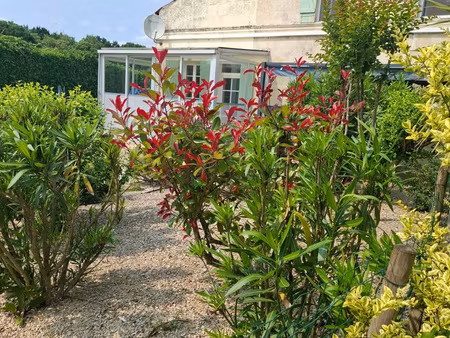 ensemble immobilier  3 maisons à tesson  à 1 km du bourg tou