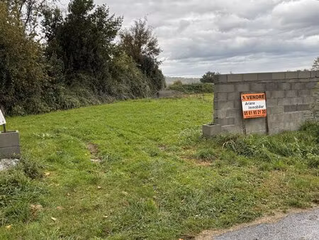 secteur saint gaudens terrain a batir + agricole