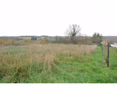 achat terrain 1 960m² chasseneuil 36800