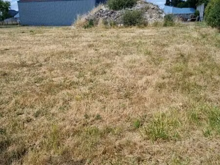 achat terrain 3 511m² lorris 45260