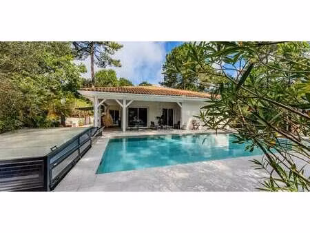 maison avec piscine et jardin biscarrosse (40)
