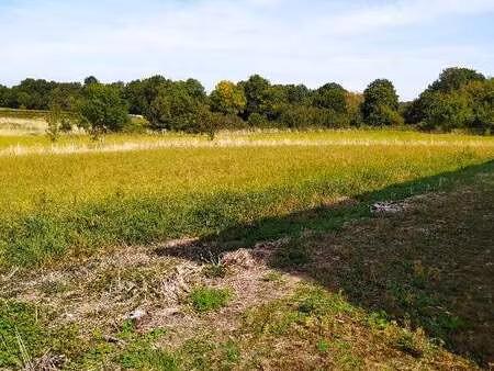 vente terrain à saint-georges-des-gardes (49120) : à vendre / 5600m² saint-georges-des-gar