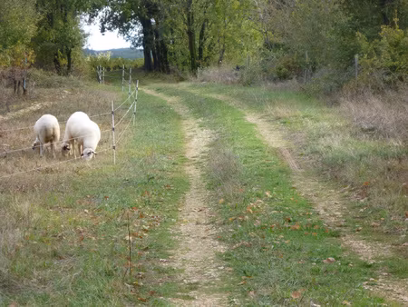 exclusivite - terrain de loisirs