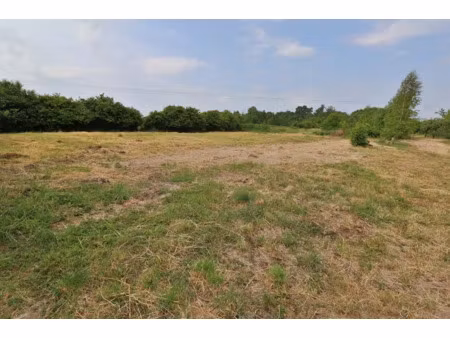 vente terrain 737 m² à bréviandes (10450)  79 700 €