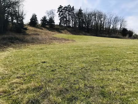 vente terrain 1000 m² à saint-vincent (43800)  50 000 €