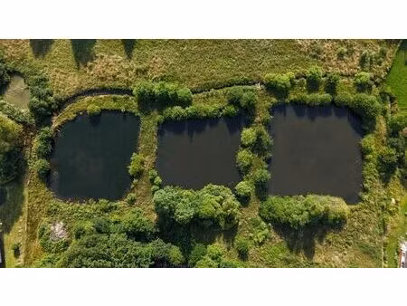 propriété exceptionnelle de 2 07 hectares avec 3 étangs !